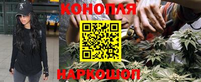 эйфоретик Дубна