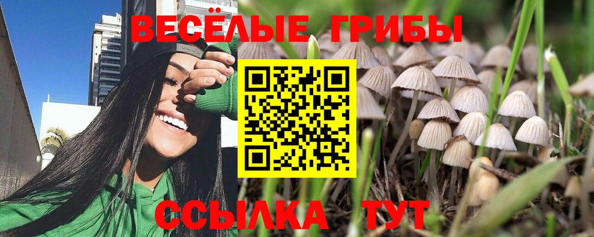 Таганрог  цена   Галлюциногенные грибы MAGIC MUSHROOMS  Вход с VPN  Псилоцибиновые грибы Psilocybine cubensis 
